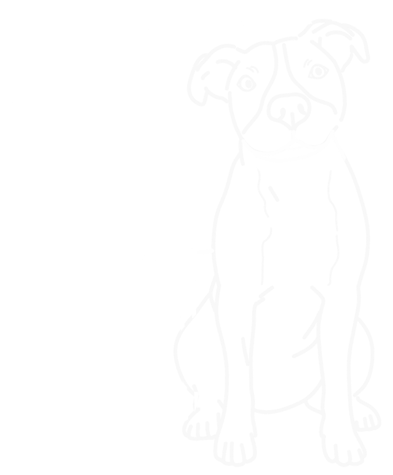 No puedes faltar!